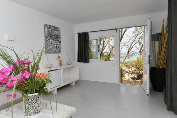Surfing Front Hotel Parikia (Paros)