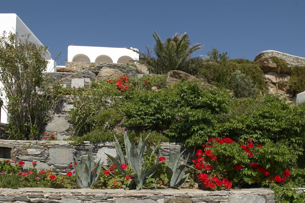 Mykonos View