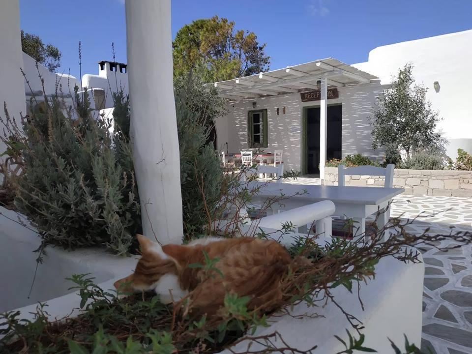 Thalassitra Village Hotel Adamantas (Milos)