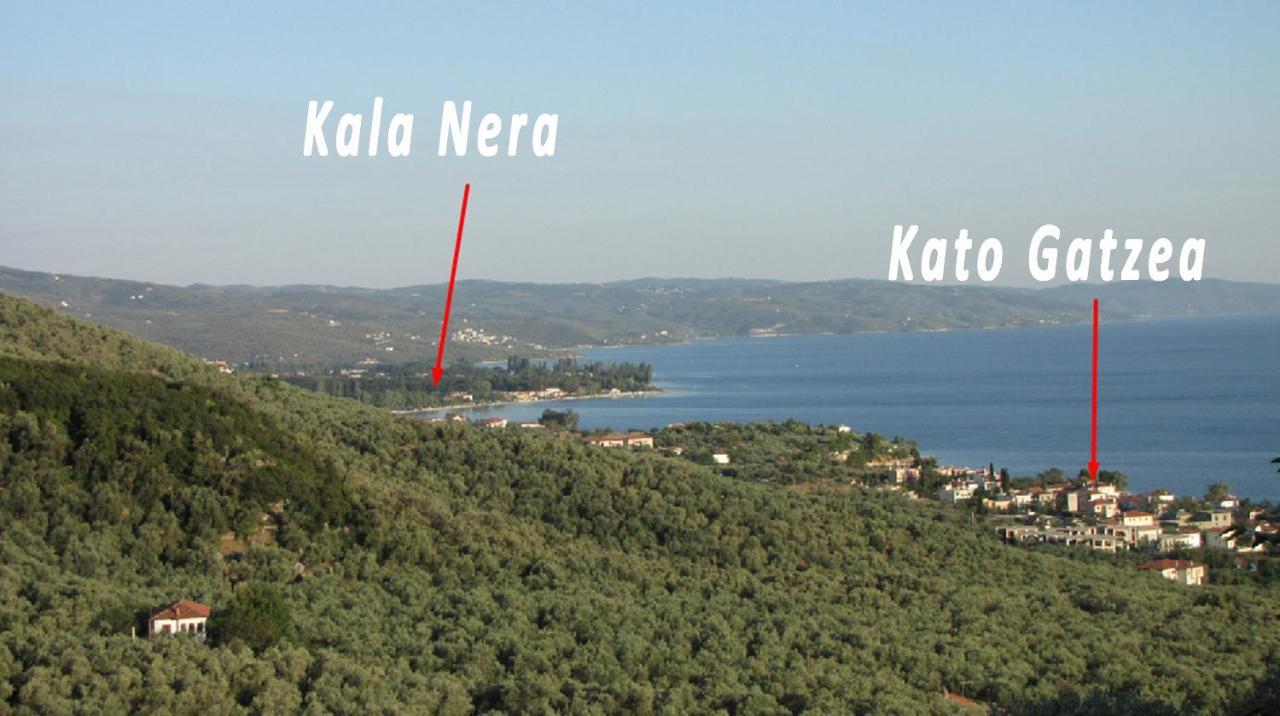 Aparthotel Enalion 2*
