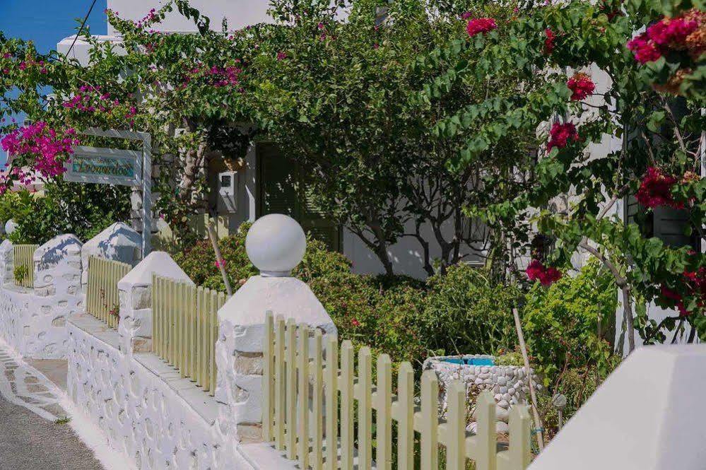 Apartment Leonardos Naousa (Paros)