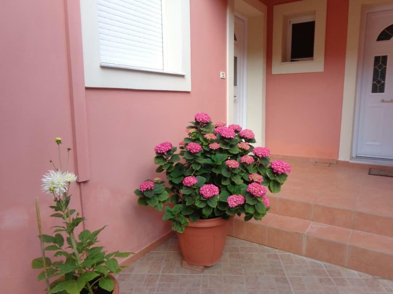 Angelina's Helmata Holiday home Argostoli (Kefalonia)