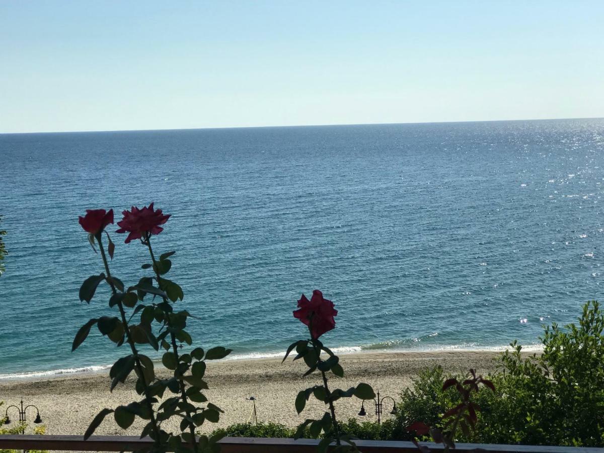 Appartments Zoe Aparthotel Agios Ioannis (Thessaly)
