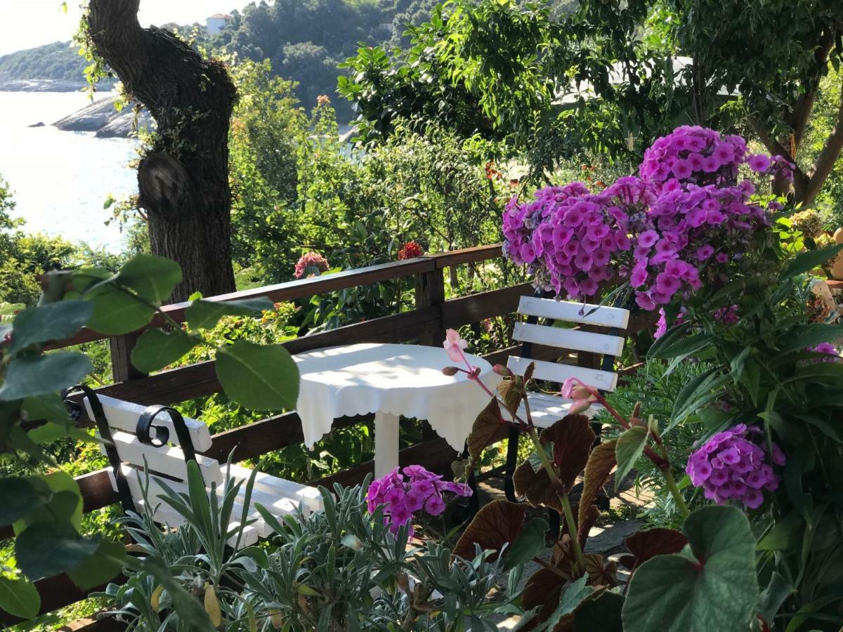 Appartments Zoe Aparthotel Agios Ioannis (Thessaly)