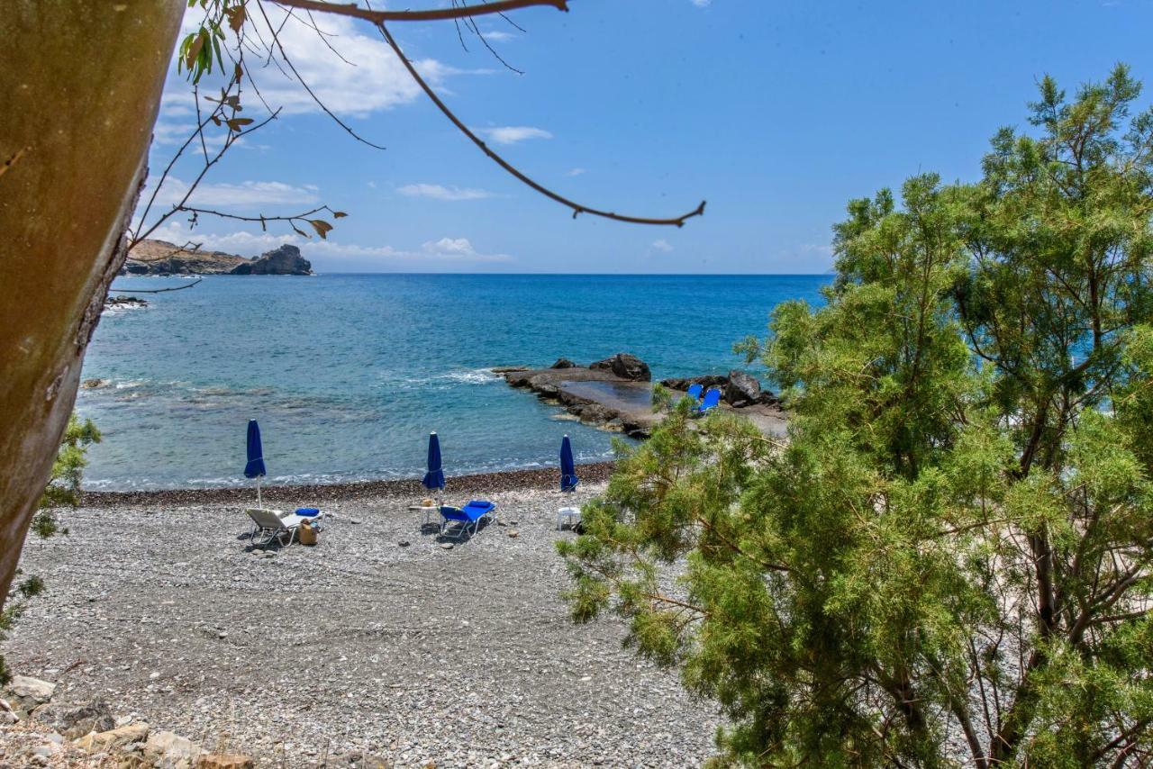 Casa Blue On The Sea *
