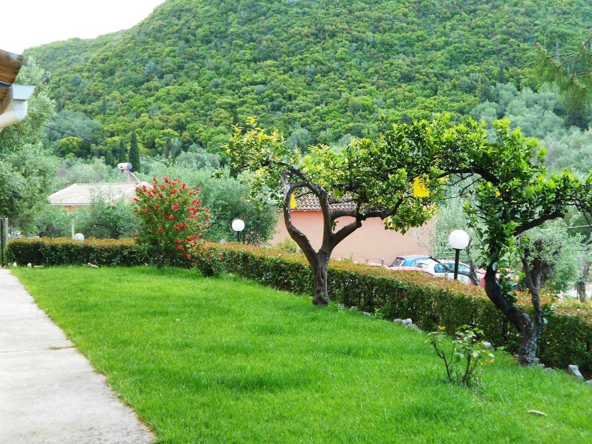 Aparthotel Anemona *