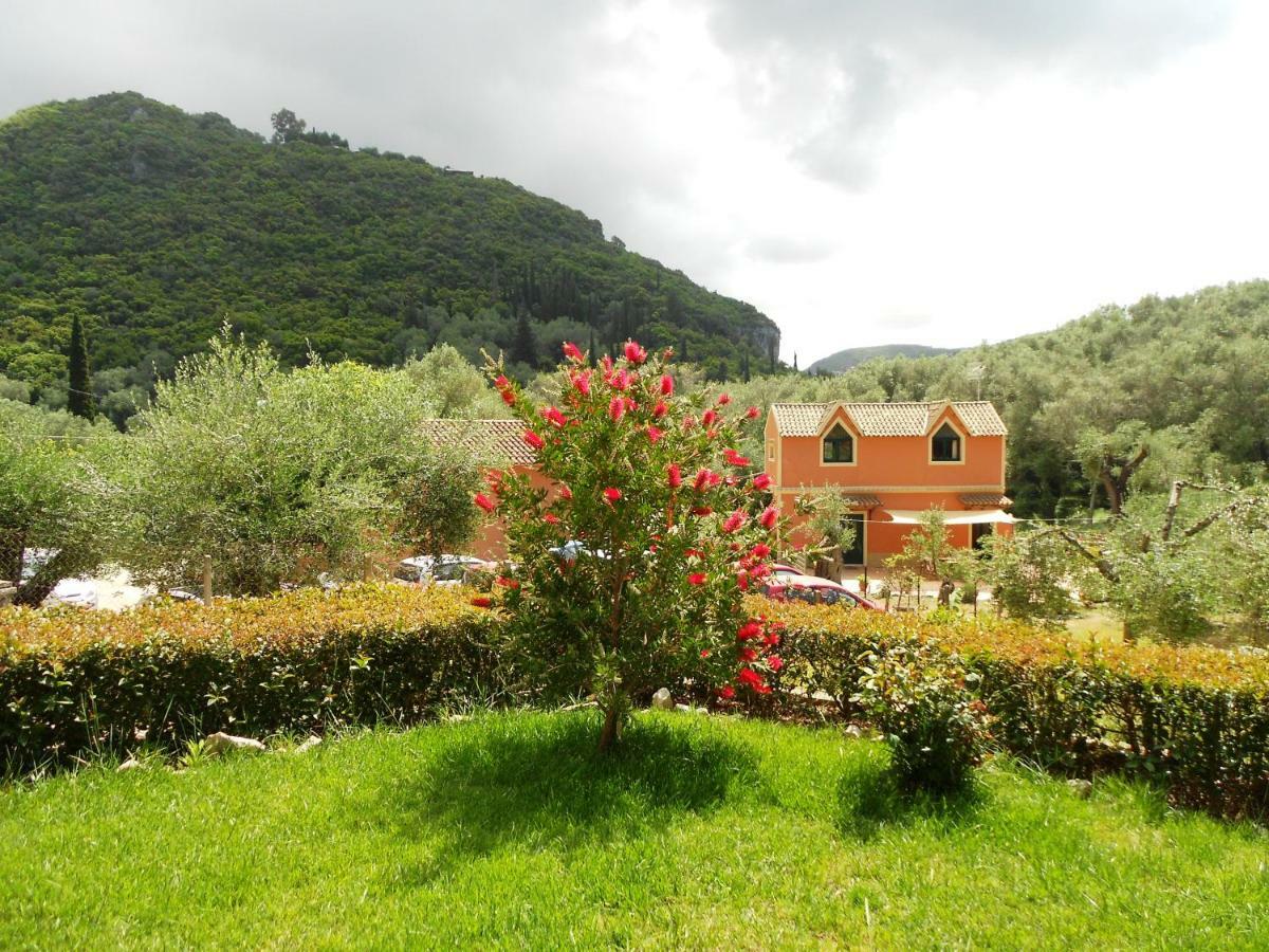 Anemona