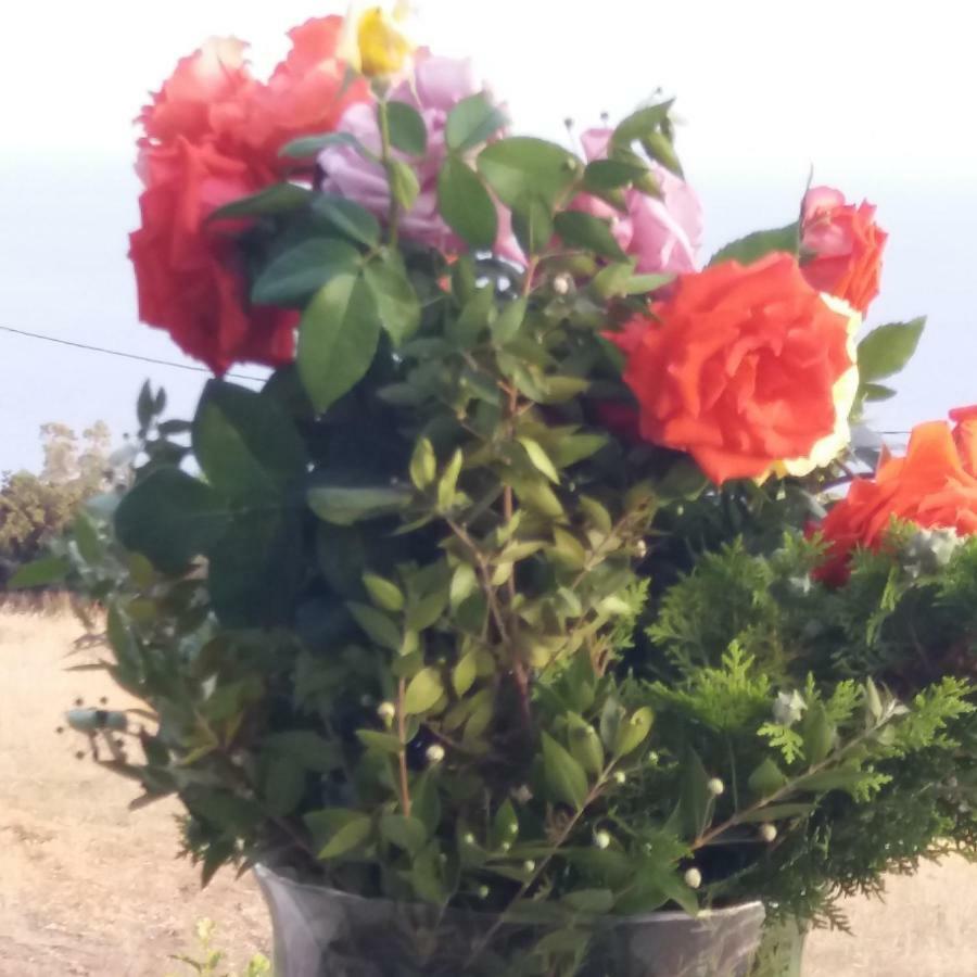 Holiday home Angelina's Helmata Argostoli (Kefalonia)