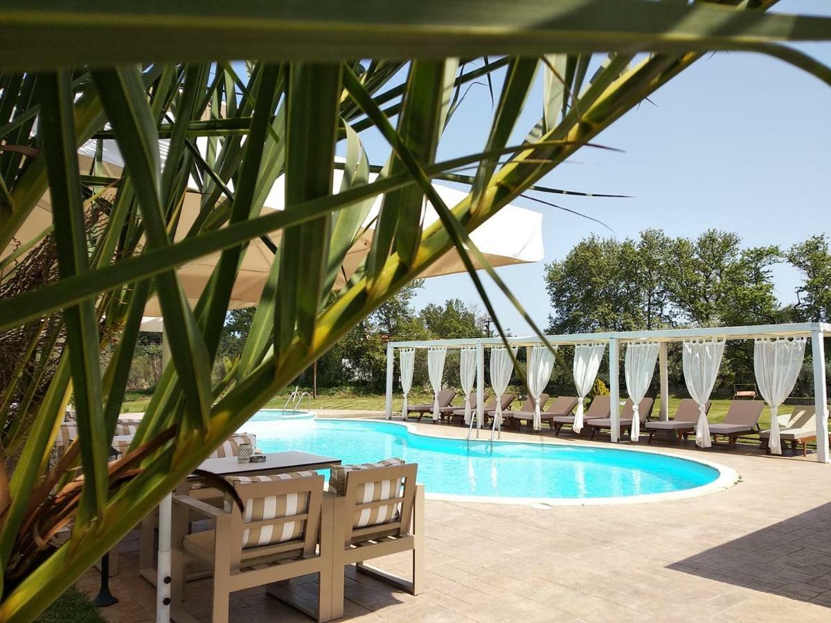 Top Studios Guest house