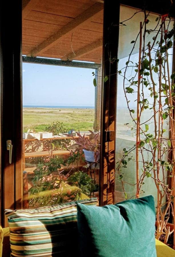 Stone House Andromeda Holiday home Psakoudia
