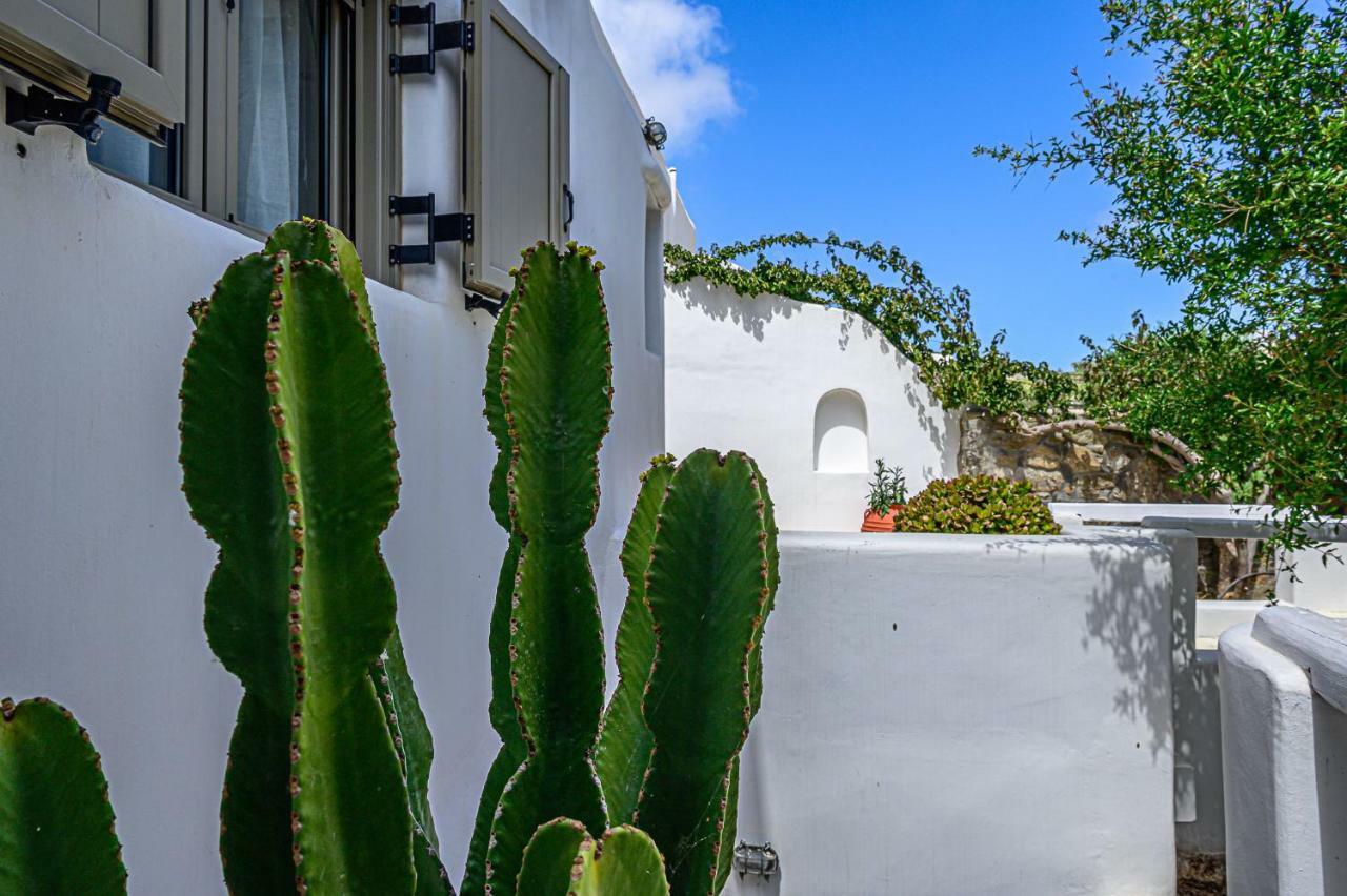9 Muses Mykonos Villa