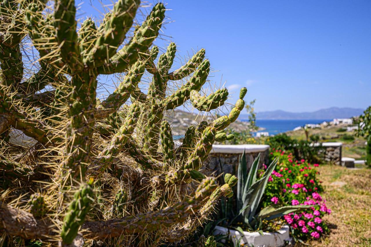 9 Muses Mykonos Villa