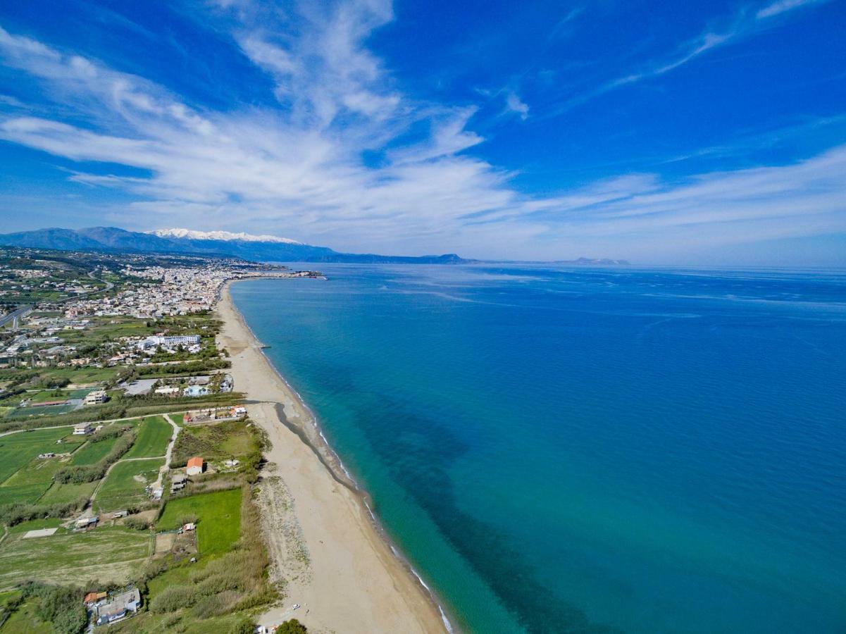 Blue Oyster * Platanes (Rethymno)