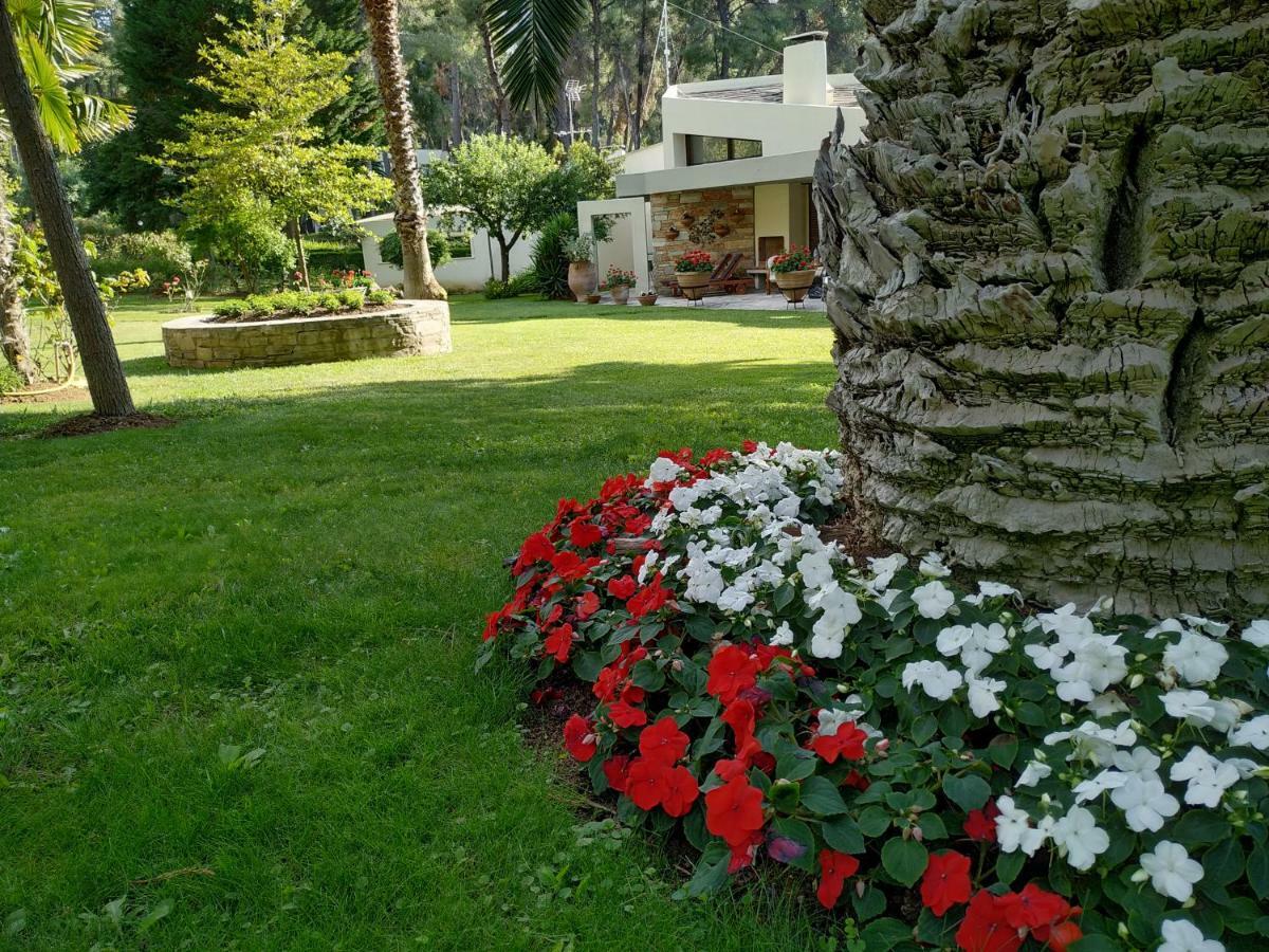 Villa Sani Maria *
