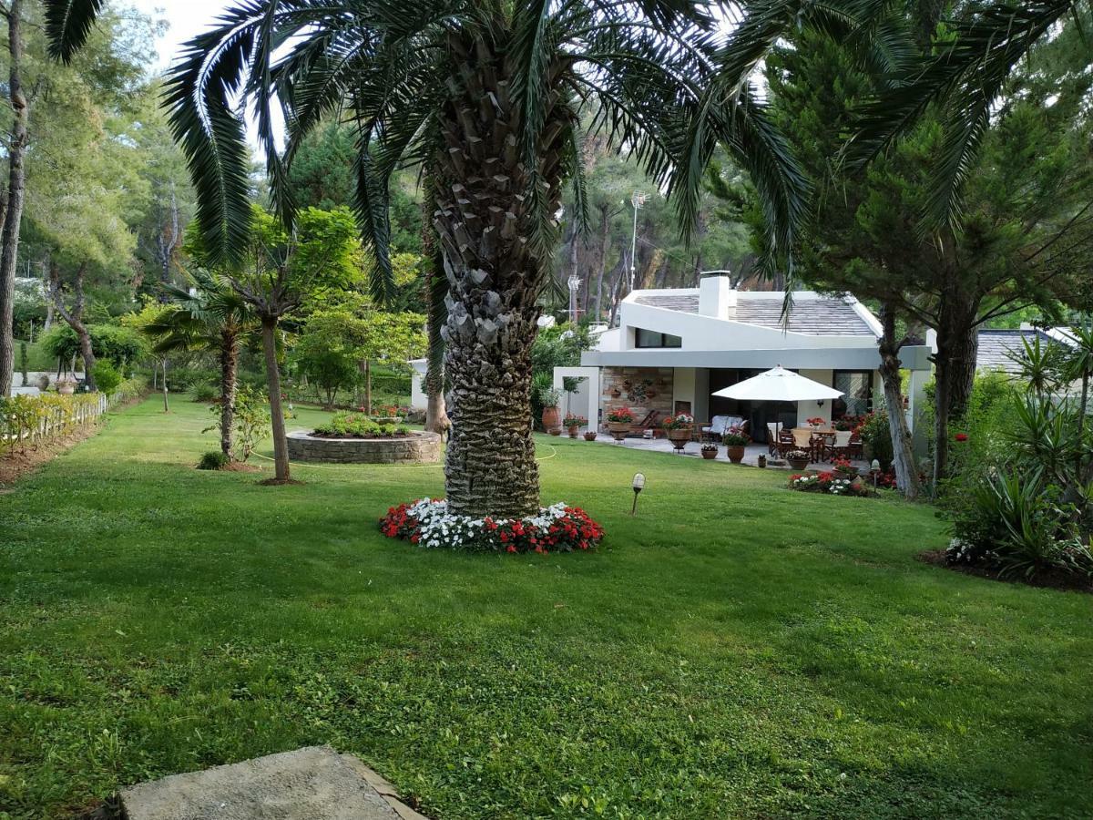 Sani Maria Villa Sani (Chalkidiki)