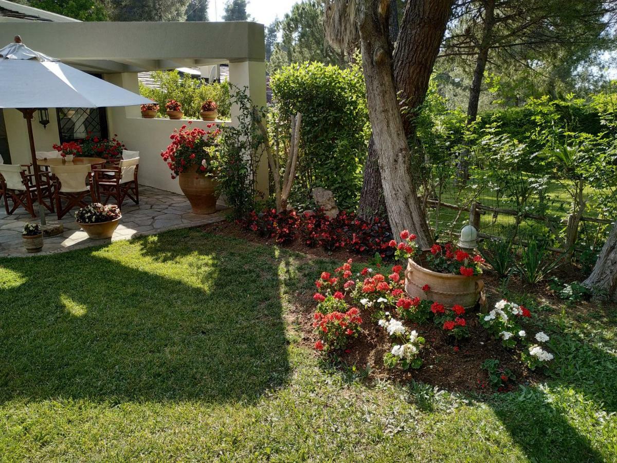 Villa Sani Maria Sani (Chalkidiki)