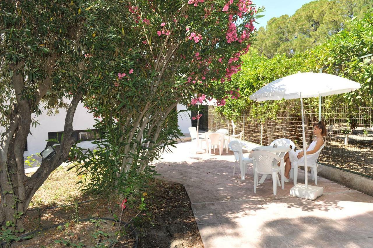 Aparthotel Niki Ialysos (Rhodes)