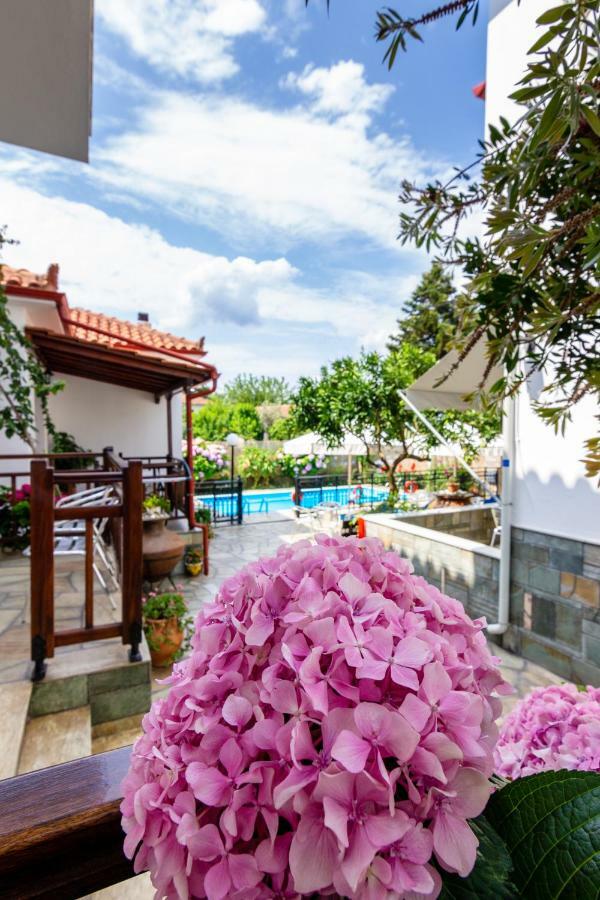 Apartment Charoula
