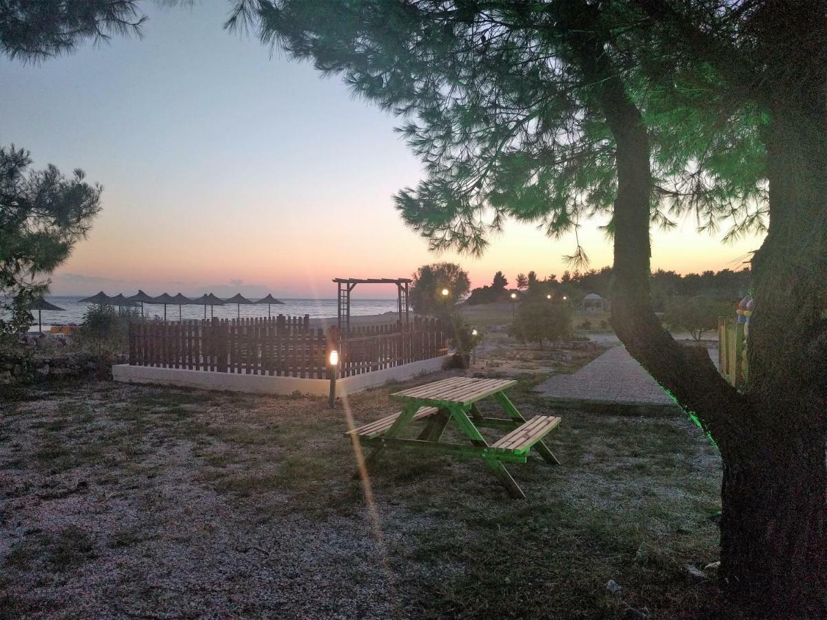 Monopetro Apartment Metamorfosi (Sithonia)