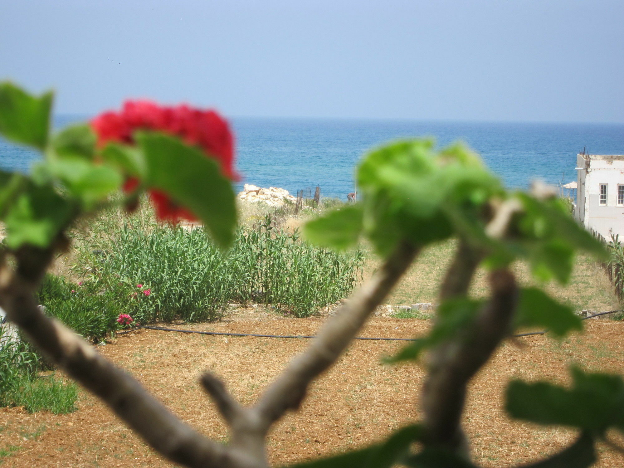 Apartment Yiannis Adelianos Kampos