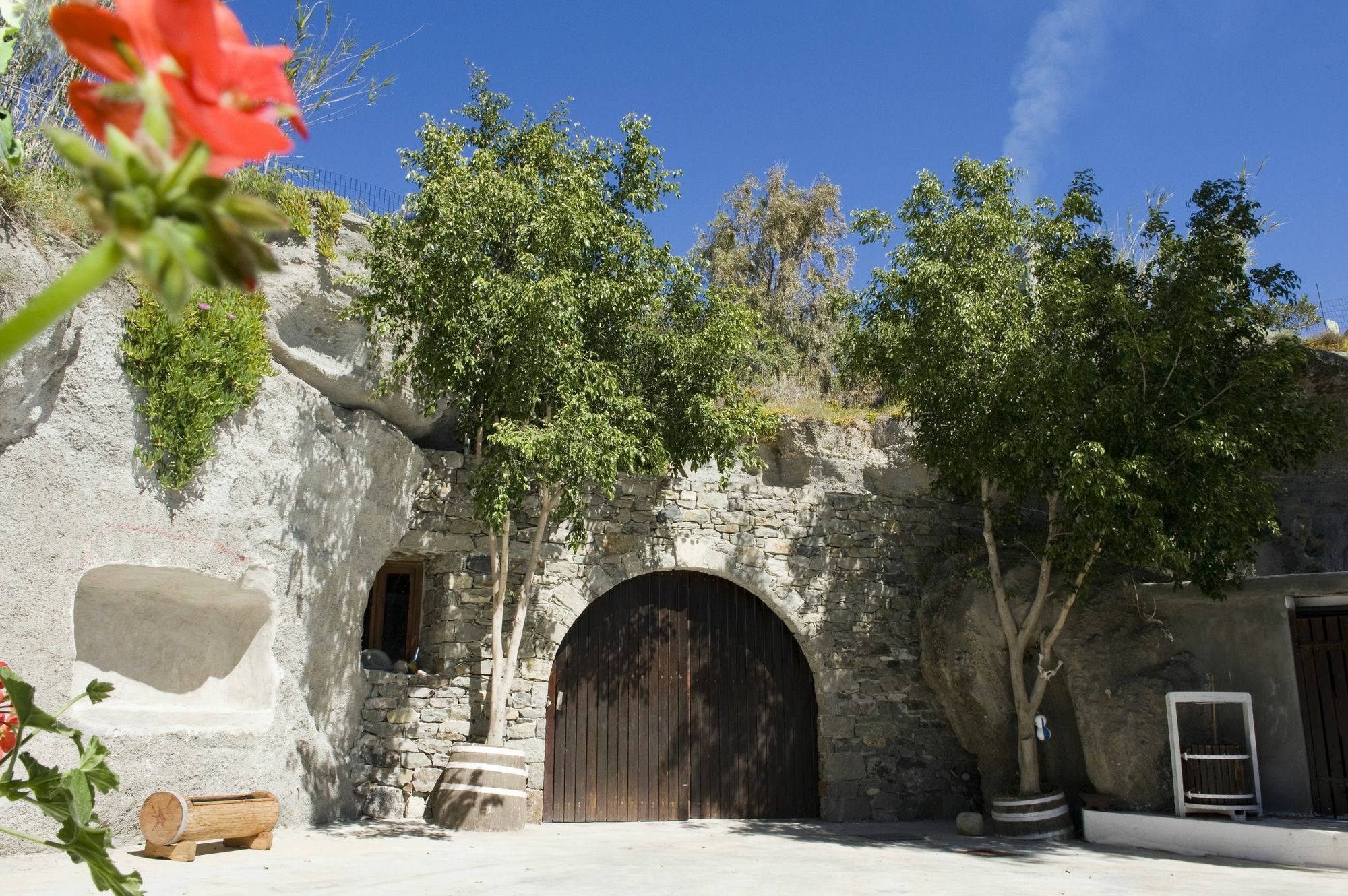 Kostantakis Winery Estate Pollonia