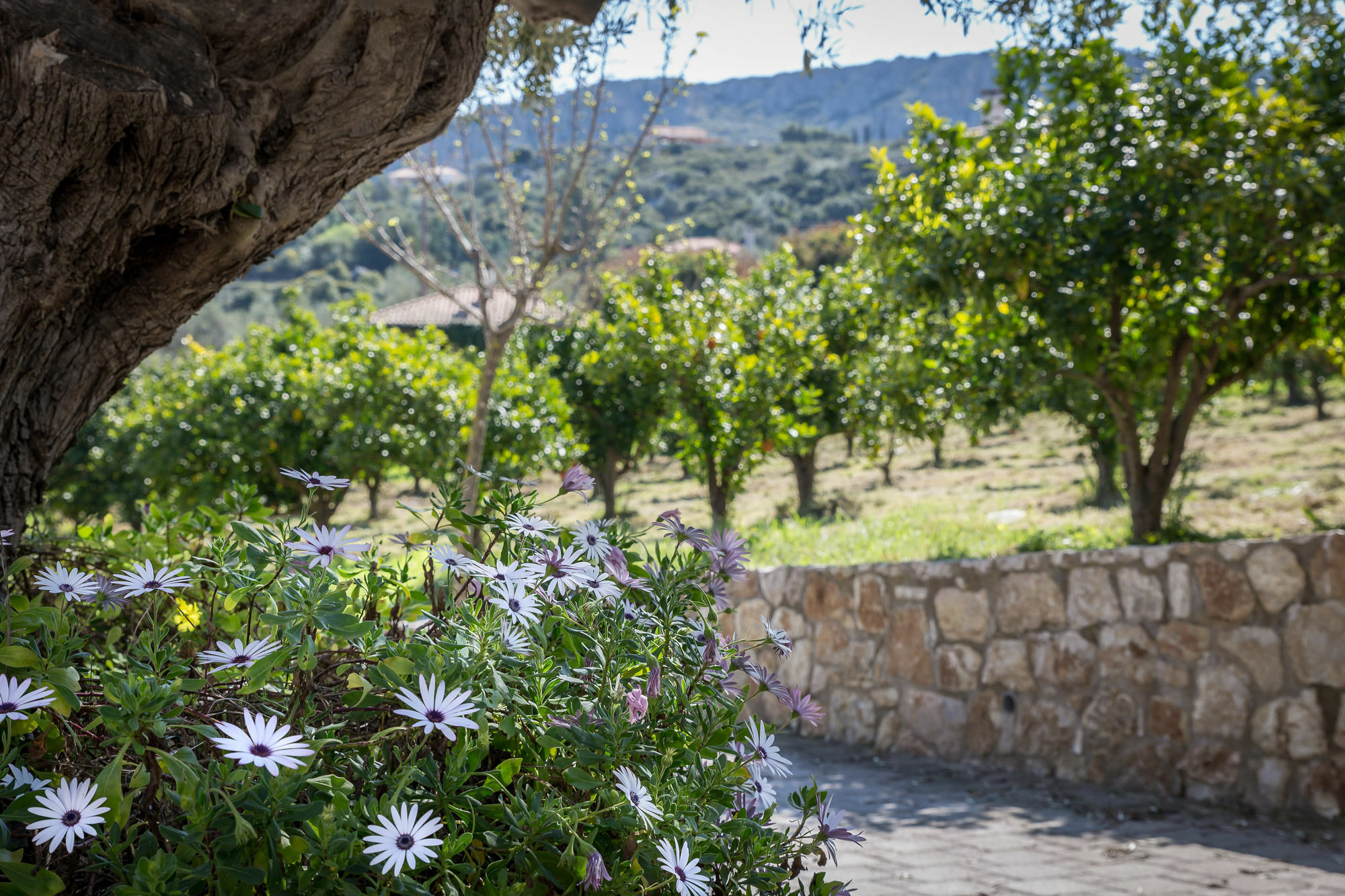 Klymeni Traditional Homes * Nafplio