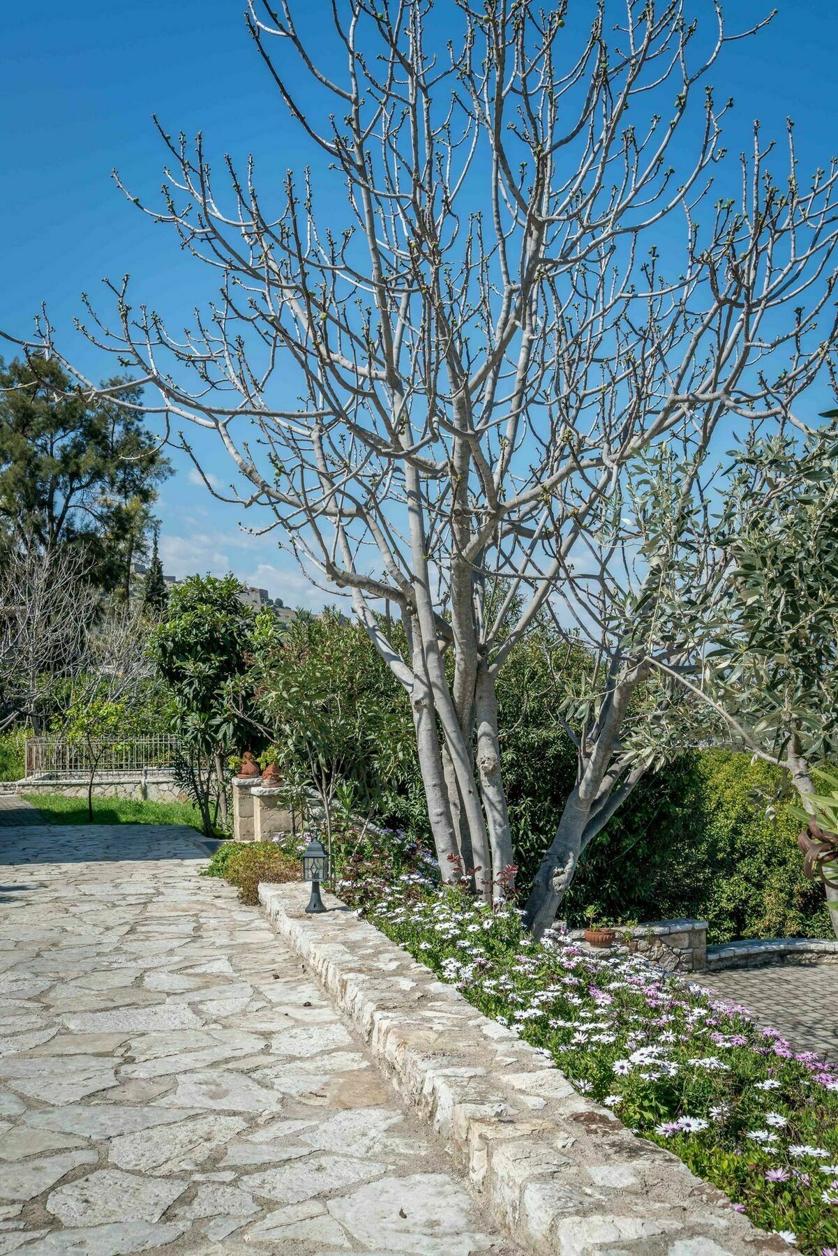Klymeni Traditional Homes
