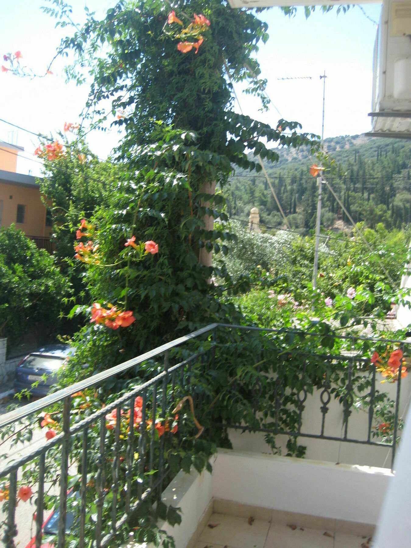 Giannos *