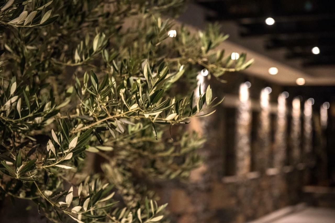 Petousis & Hotel Amoudara (Heraklion)
