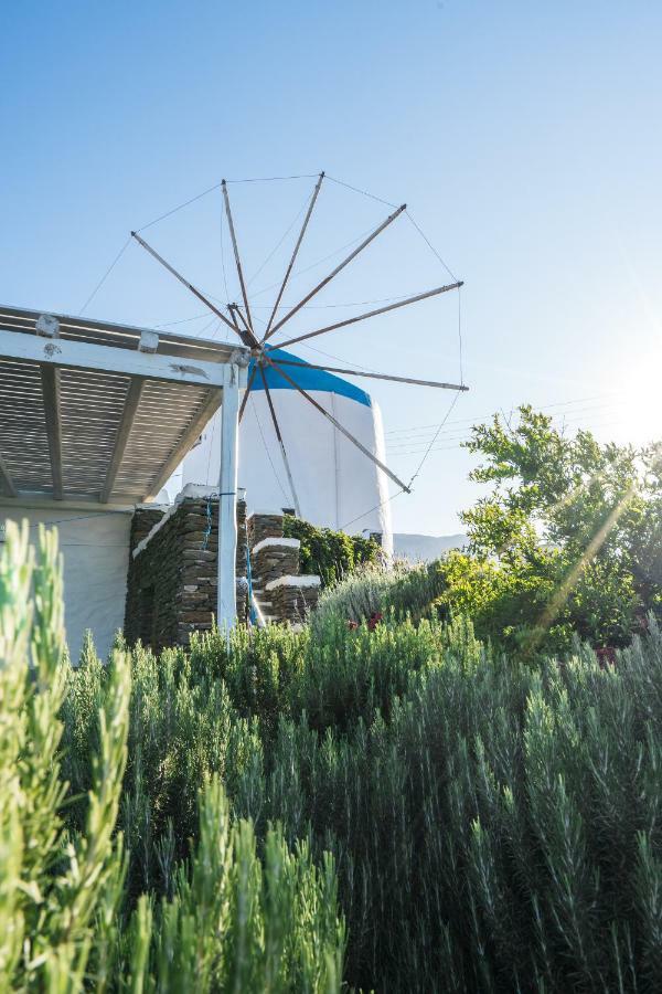 Apartment Windmill Arades Apollonia (Sifnos)