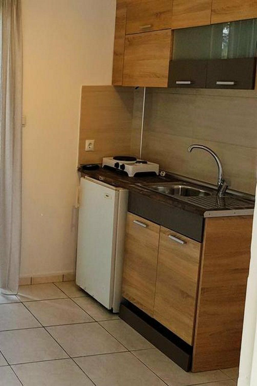 Roditsa Patritsia 3*