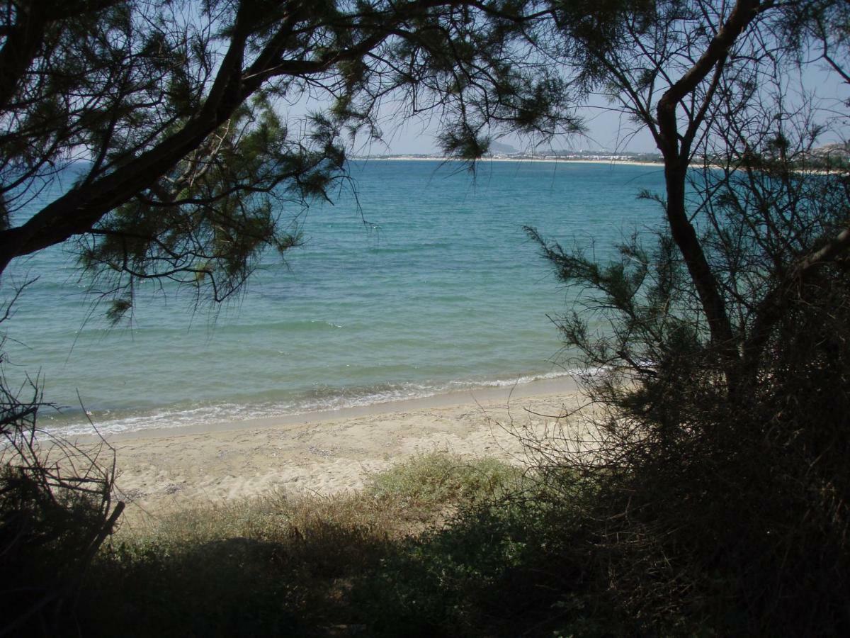 Karades Poseidon 75m2 Apartment Plaka (Naxos)