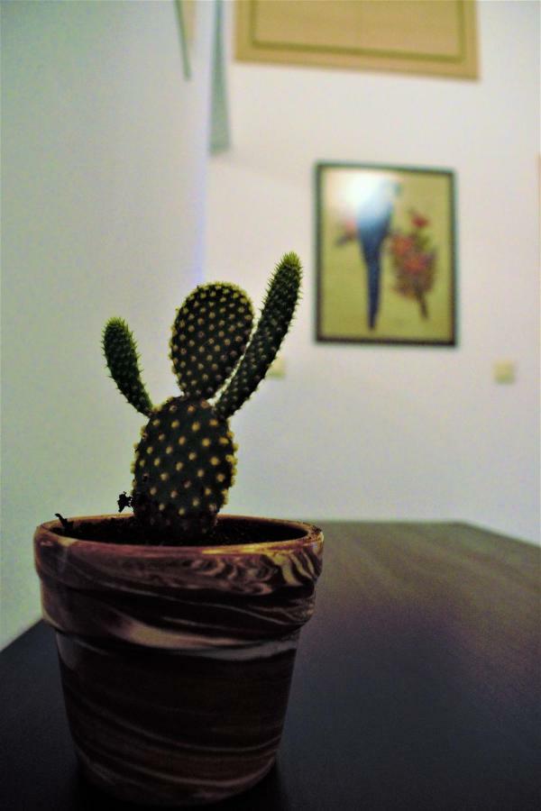 Asia's Place Apartment