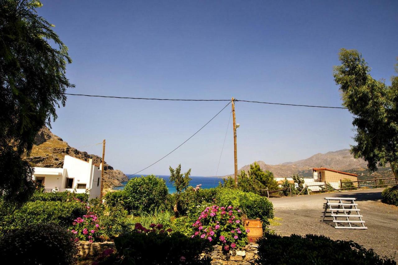 Apartment Artemis Studios Plakias