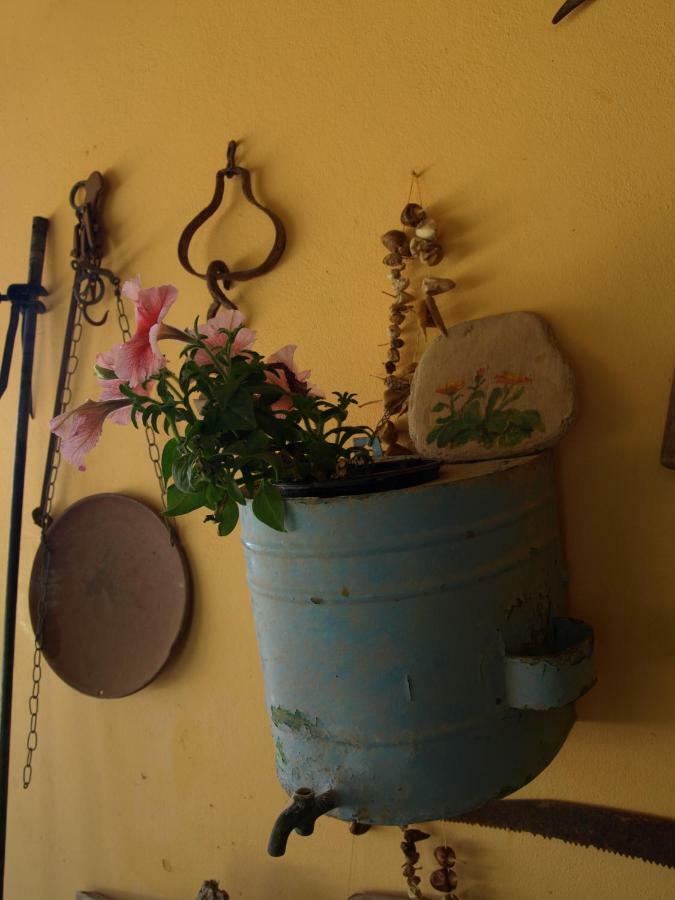 Emma Holiday home Agia Fotia (Sitia)