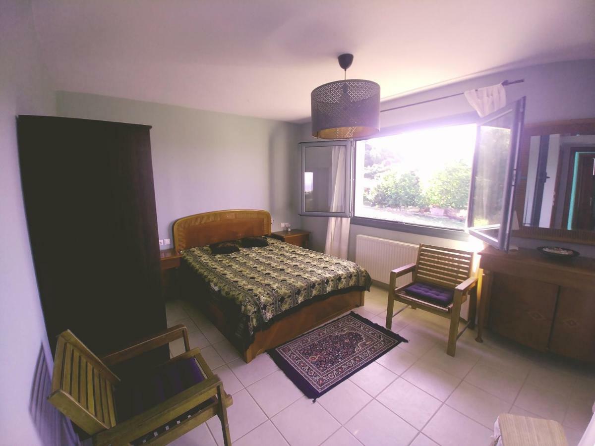Freebird Vip Bachelor Party & Wedding Events Villa *