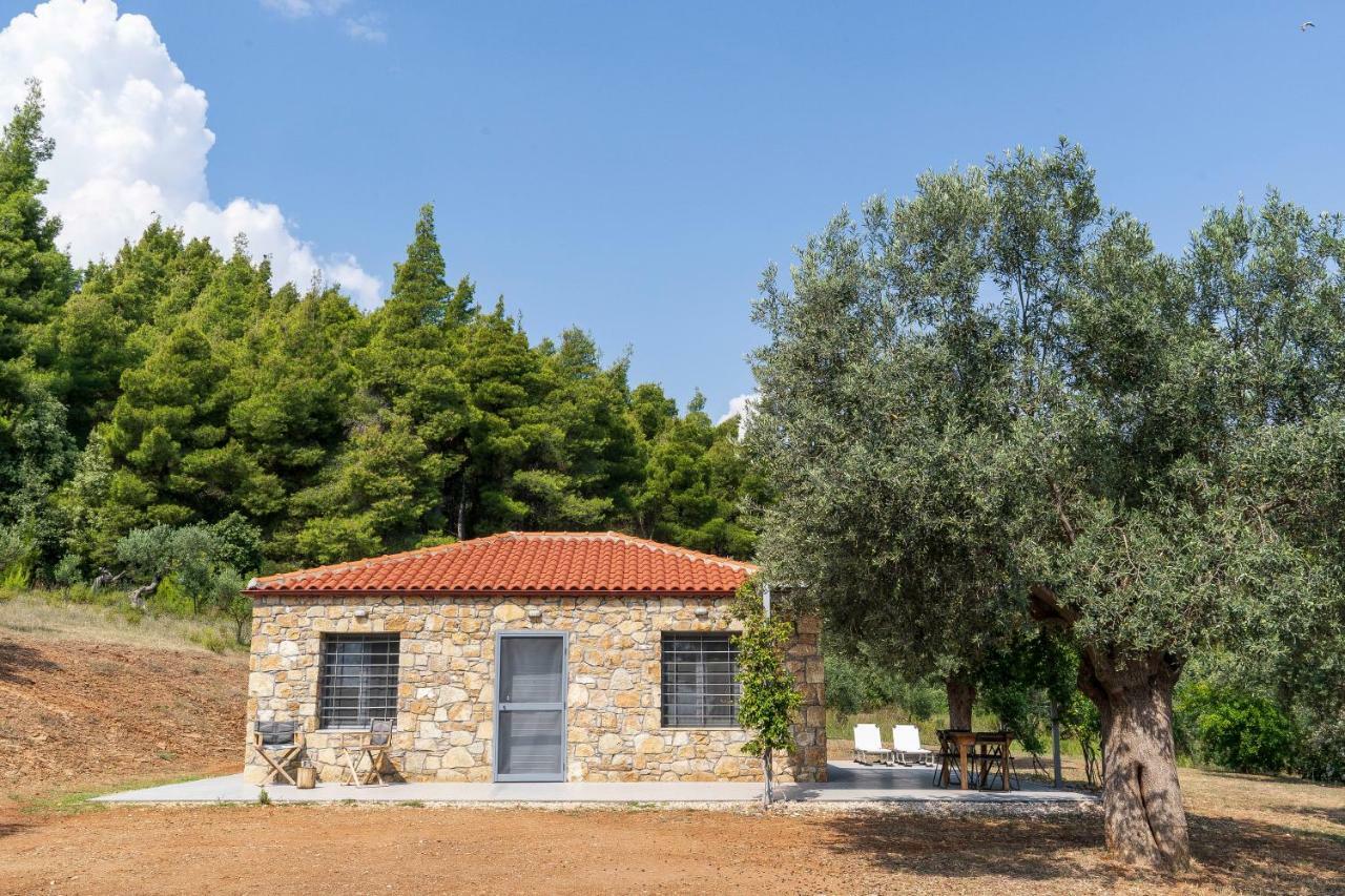 The Ideal Secluded Retreat Holiday home *