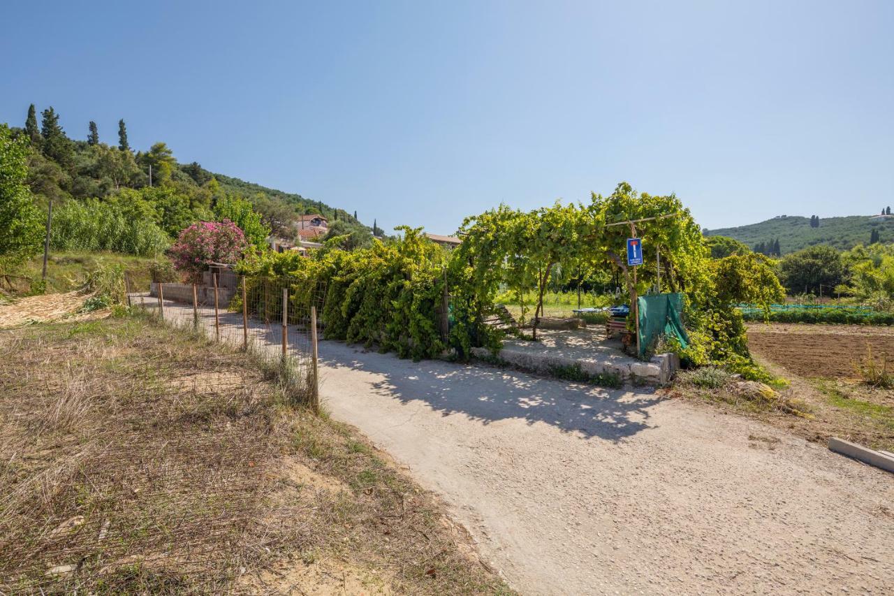 Apartment Photographer's Alykanas (Zakynthos)