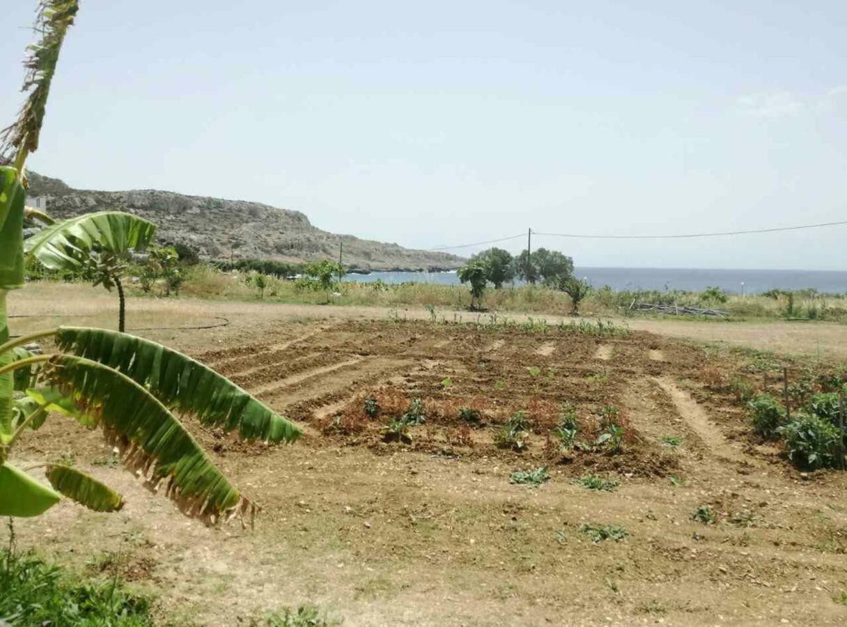 Venetia's Garden * Lefkos (Karpathos)