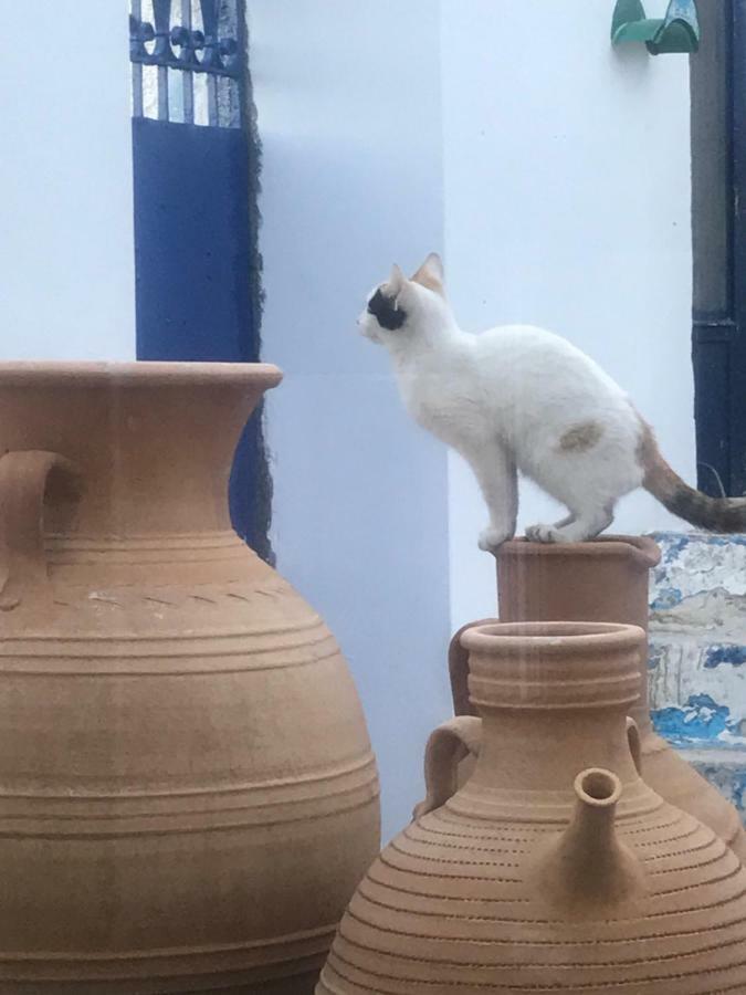 Casa Laryssiou *