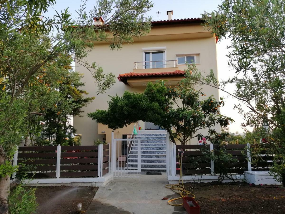 Villa Herodicus Nea Skioni