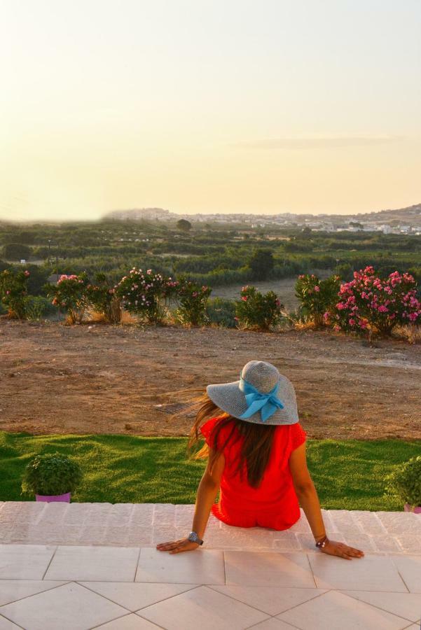 Naxian Vacation With Sea View Holiday home
