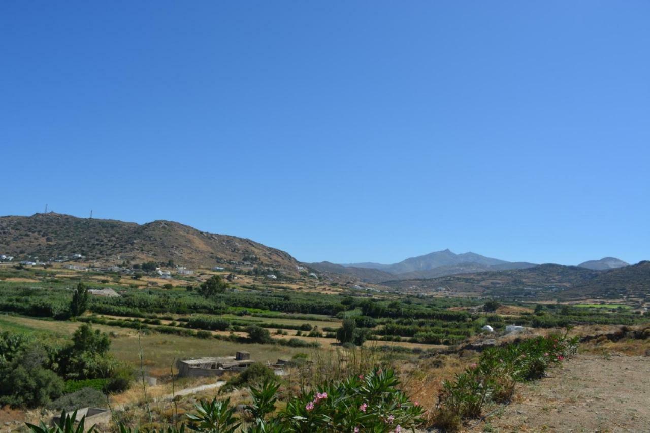 Naxian Vacation With Sea View Holiday home