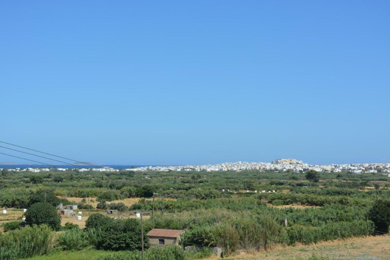 Naxian Vacation With Sea View Holiday home Glinado Naxos