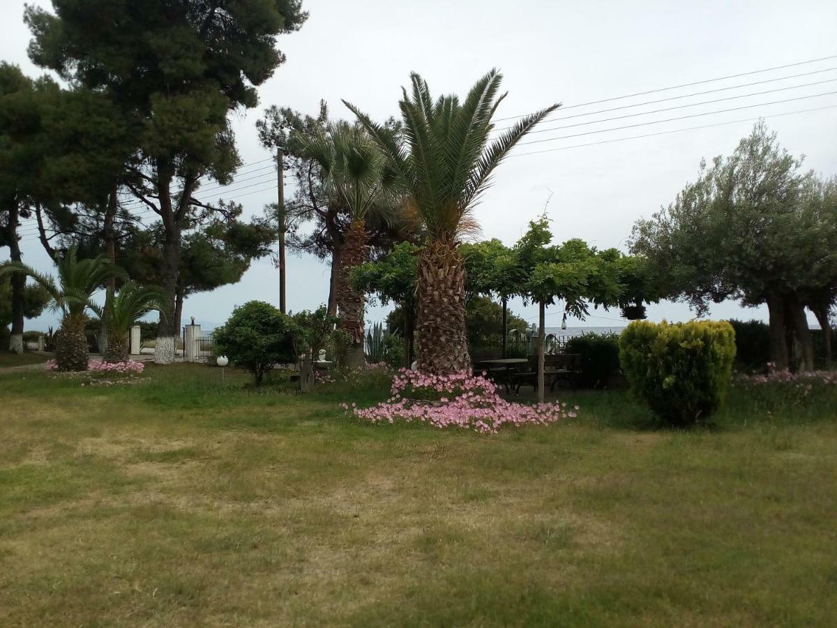 Apartment Entire 50m From Sea - Spiros Metamorfosi (Sithonia)