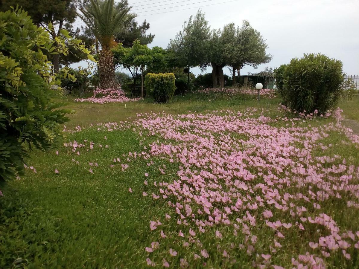 Entire 50m From Sea - Spiros