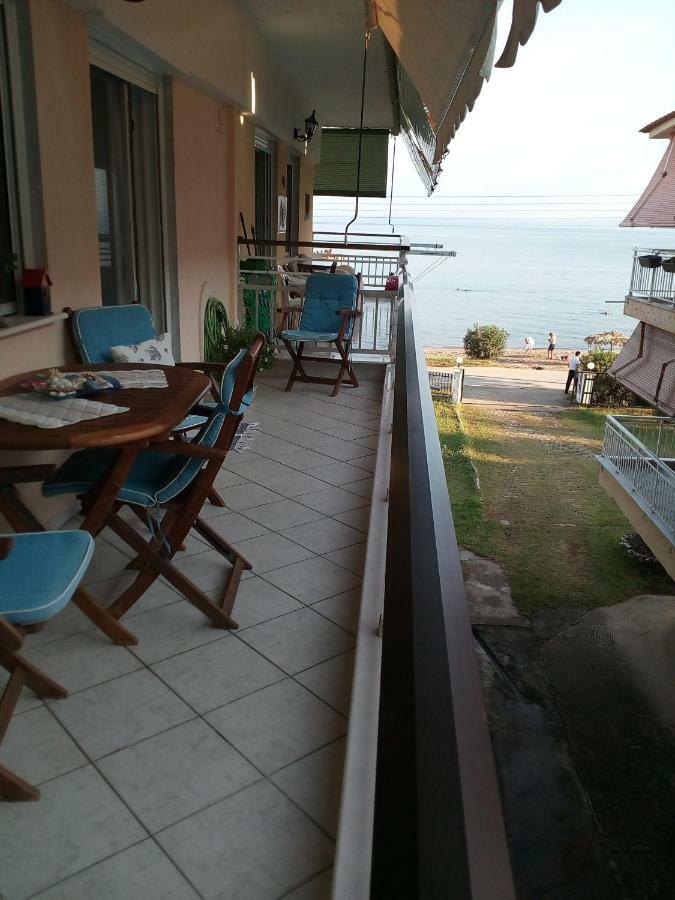 Apartment Entire 50m From Sea - Spiros Metamorfosi (Sithonia)