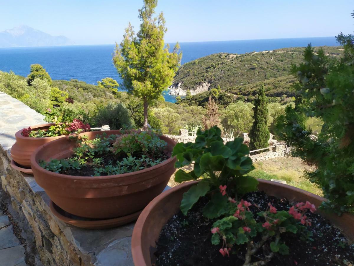 Athos Holiday home Sarti