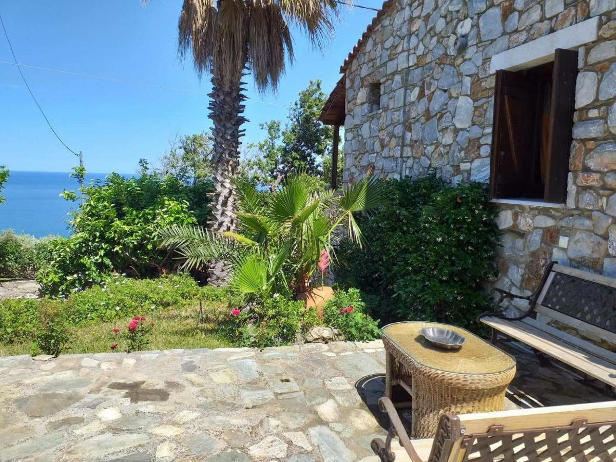 Deep Blue At Villa Potistika