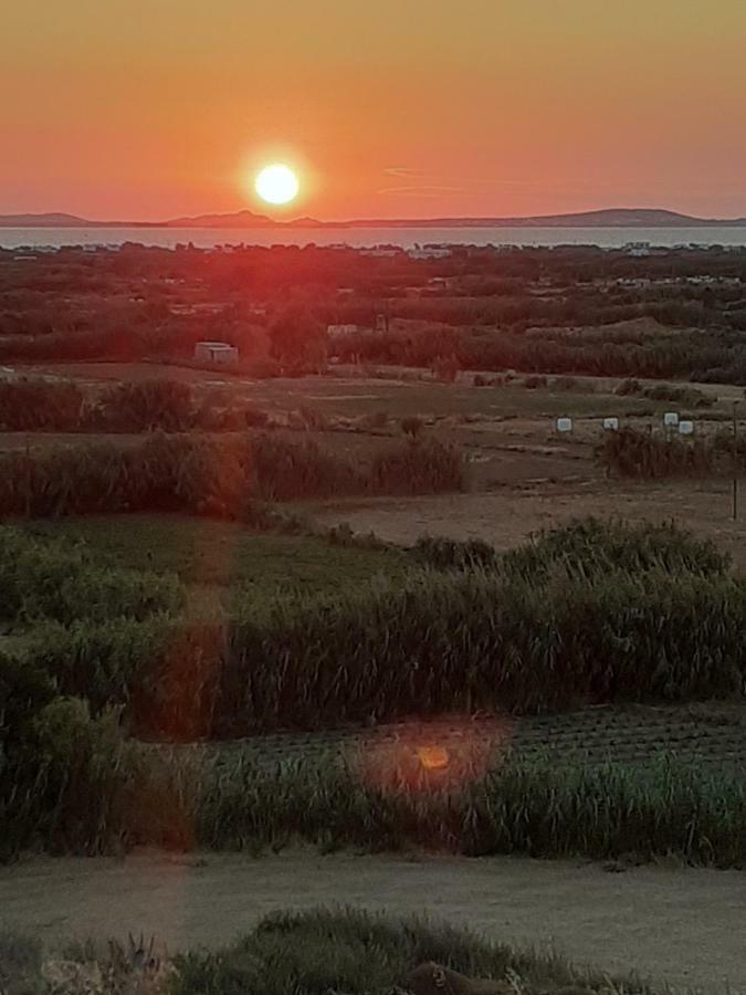 Naxian Vacation With Sea View Holiday home